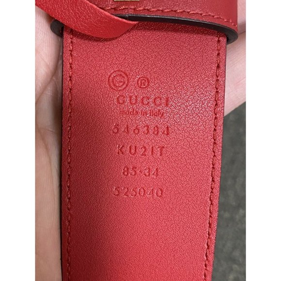 GUCCI Blooms Print Coated Canvas Belt Feline